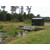 Locatie afbeelding