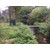 Locatie afbeelding